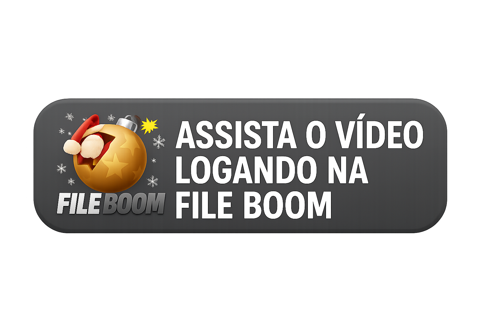 Assista o vídeo logando na File Boom